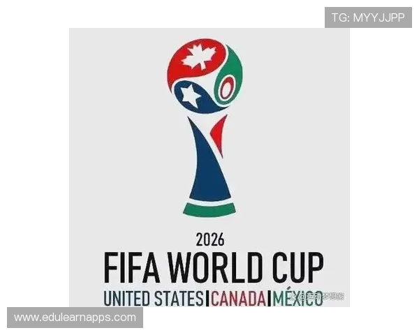 2026年世界杯门票官网购票流程优化及用户体验提升方案分析